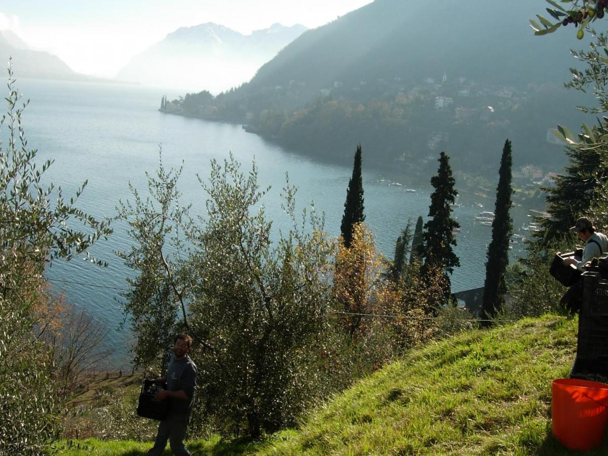 Villa Casa Indipendente "Il Sole Delle Grigne" à Bellagio Extérieur photo